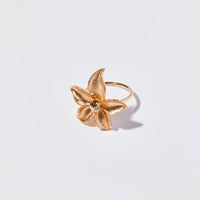 Aura Ring