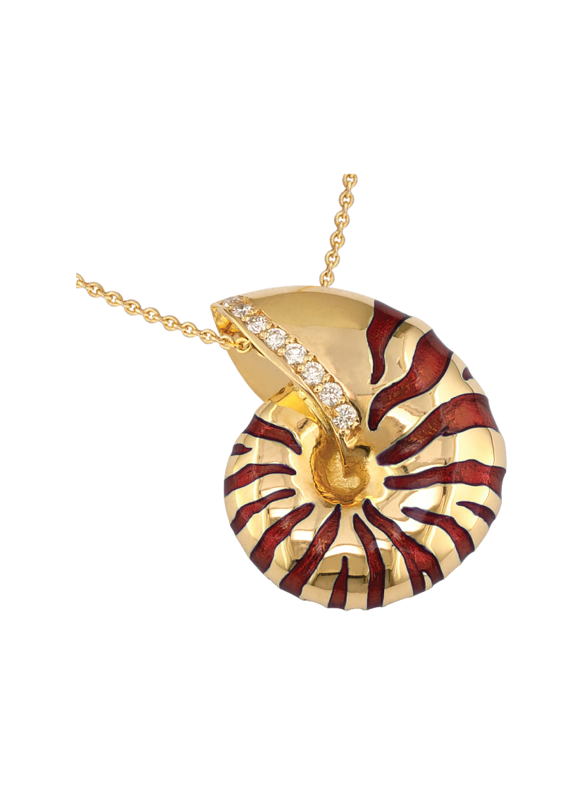 DELPHI: The Spiral of Inner Wisdom