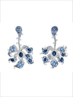 Cerulean Orchid